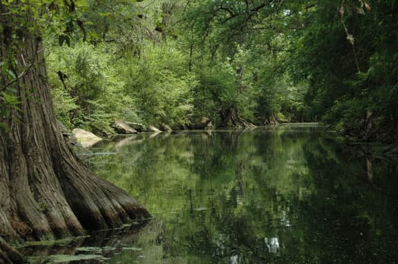 Near River~Downtown Boerne~Walkable~Games - Image 1